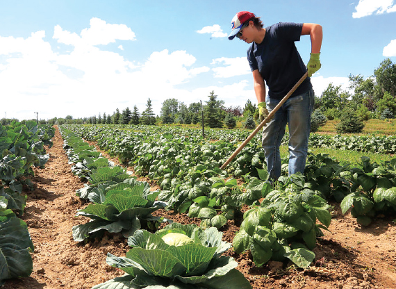 Agriculture & Farming